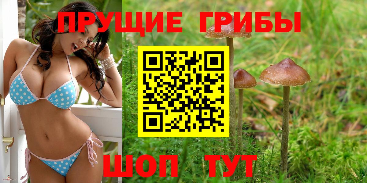 Севастополь  Галлюциногенные грибы Psilocybe  Вход с VPN 